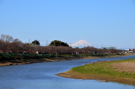 堂面橋の上から撮影