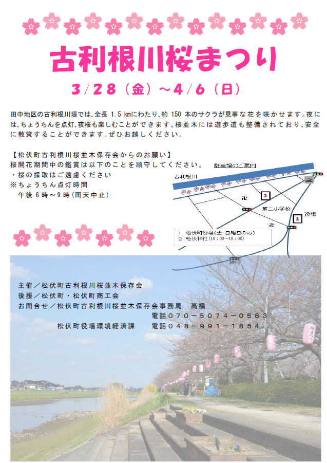 桜祭りチラシ